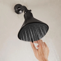 Filtered Rain Showerhead